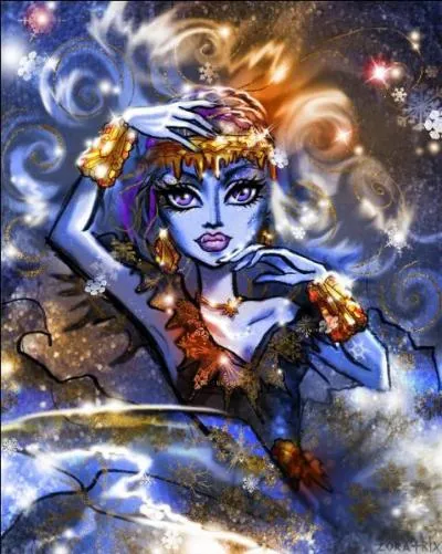 Combien y a-t-il de collections ?