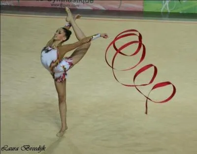 Quel est son Objectif Sportif ?