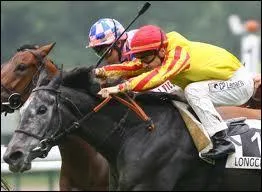 Quel mtier dans le domaine du cheval existe :