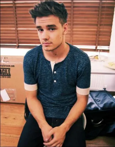 Avec quel(le) chanteur(euse) connu(e) les One Direction ont-ils interprt la chanson She's the One ?