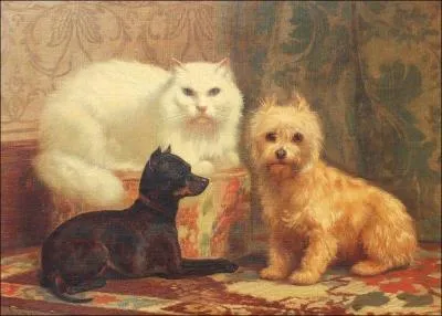 Ce tableau reprsente le portrait d'un chat persan, d'un chien de race Terrier et d'un ...