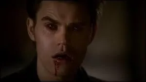 Qui a transform Stefan Salvatore ?