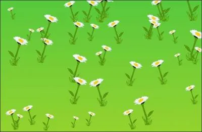 Combien de fleurs embellissent ce jardin ?