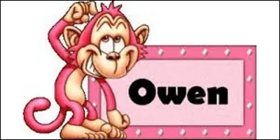 Quelle est la signification du prénom Owen, d'origine grecque ?