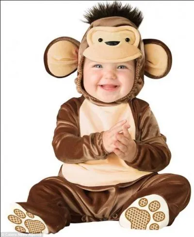 Haahunk, Heehaahii, quel beau petit singe que voil... S'il s'appelait Marcel, il aurait t le petit singe de... ?