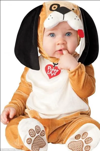 Ouah, Ouah, le joli petit chien que voil... Si ces longues oreilles avaient t rousses, et non noires, on aurait pu le nommer... ?