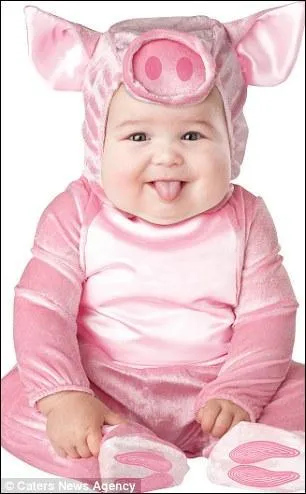 Grrmpf, Grrmpf, le joli petit cochonnet tout rose que voil... S'il tait dans le conte de fe, on l'aurait protg dans la maison de... ?