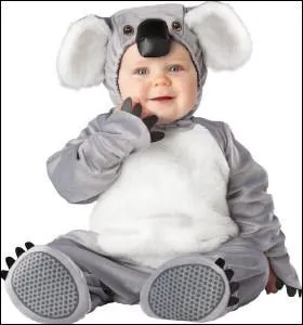 Zzzzz, Zzzzz, En voil un charmant koala... Et ce petit ours vient de loin, d'o cela ?