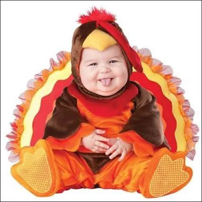 Glou, Glou, le joli dindonneau que voici ! De quelle nationalit est-il ?