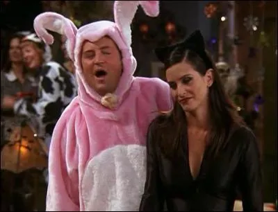 Fffrrff, fffrrff, que voil un bien amusant lapin rose, Chandler, et son ami le petit chat noir, Monica, le couple de Friends. Ces deux-l vont faire un bras de fer, dans ces tenues. Qui gagne ?