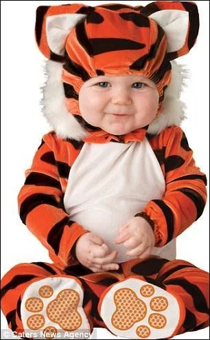 Grr, Grr, le beau tigreau que voil... S'il s'appelait Shere-Khan, on serait sr de le trouver un jour dans... ?