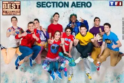 L'arobic se pratique :