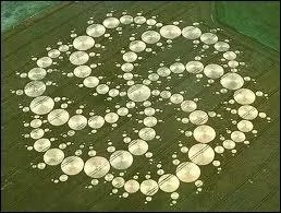 On les appelle les  Crop Circles , ce sont des dessins gomtriques labors qui se trouvent dans les champs et apparaissent gnralement en une nuit. Quelles sont les thories  discrditer ?