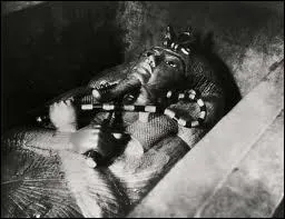 De nombreux scientifiques ayant approch le tombeau de Toutankhamon sont morts mystrieusement. Quelles ont les thories  discrditer ?