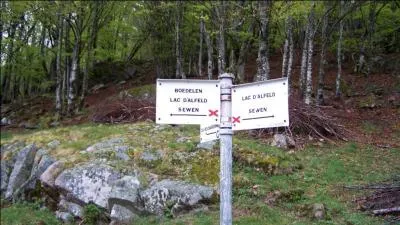  cet endroit-l, les groupes A et B vont :