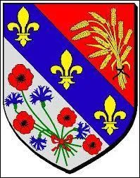 Voici le blason de la commune Yvelinoise d'Orgerus. Elle se situe en rgion ...