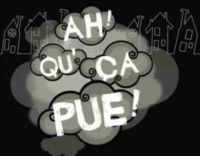 Il existe beaucoup d'expressions pour dire :  a pue . Parmi ces trois propositions, laquelle correspond  une expression utilise dans le sud-ouest ?