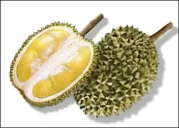 En Asie du Sud-est, on l'appelle  le roi des fruits  et pourtant il pue ! Quel est ce fruit ?