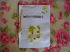 Les coliers ont tudi la ... de leur rgion. Avec la matresse ils ont fait un herbier.