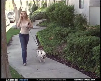 Paige promne un chien qui est en ralit un homme qui a t maudit par une sorcire. Quel est le nom du chien ?