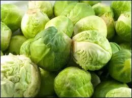 J'observe l'image et je vois : des choux de Bruxelles !