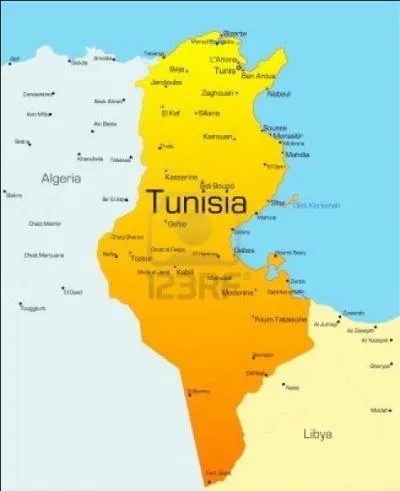 Quelles sont les couleurs associes  la Tunisie ?