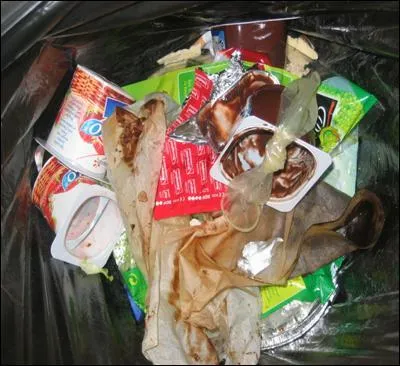 De ce fait, quel animal trouve-t-on souvent dans les poubelles ?