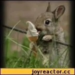 Bon apptit ! Quand on veut calmer sa soif, tout du moins se dsaltrer, on peut aussi dire qu'on veut :