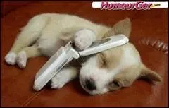 N'aie pas peur ! Ce mot dsigne la phobie d'tre spar de son tlphone portable :