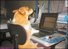 Non, je ne parlais pas d'ordinateur portable ! Quand vous voyez une personne qui a oubli d'teindre son tlphone portable au cinma, vous pouvez lui crier :