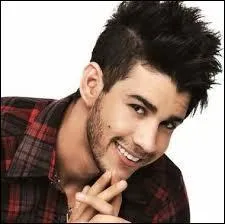 Quel chanteur est-ce ?