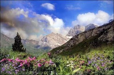 Le parc national des ... entre la France et l'Espagne.