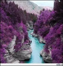 Ah l'cosse ! Si vous vous rendez l-bas, prvoyez un voyage  l'le de ... Sur place, vous pourrez y voir les Piscines des Fes (Fairy Pools).