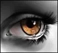 Un oeil qui pleure, mais de quoi ?