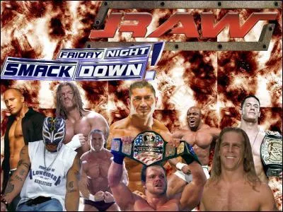 Qui a gagn la ceinture de WWE champion de 2008 ?