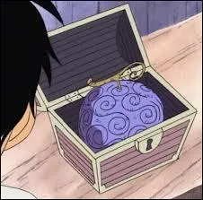 Comment s'appelle le fruit du dmon que Luffy a mang ?