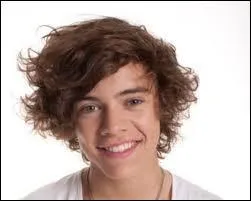 Il les fait toutes craquer. Il aime bien se promener tout nu. Il a quatre ttons. De quel groupe  succs Harry Styles est-il le plus jeune membre ?