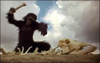 Dans cette clbre scne du film  2001, l'Odysse de l'espace , que dcouvre cet australopithque ?