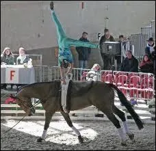 Comment s'appelle cette discipline ?