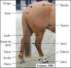 Il s'agit des membres...