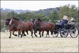 Comment s'appelle cette discipline ?