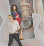 Dans  Austin & Ally , Austin est-il dj sorti avec Ally ?