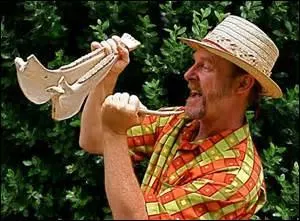  quelle famille d'instruments les idiophones appartiennent-ils ?