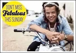 Entre les propositions suivantes, laquelle Harry prfre-t-il ?