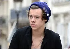 Qui est son meilleur ami dans les One Direction ?