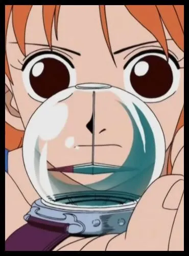 pisode 63 - C'est dans cet pisode que nous apprenons l'existence des Log Pose. Qui perd le premier Log Pose que Luffy ramasse par terre ?