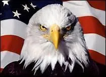 Oiseau qui btit son nid sur les sommets. Il saisit et tue sa proie avec ses griffes. Je suis... ...