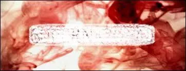 A quelle srie TV appartient ce logo ?