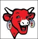 Quelle est cette marque ?