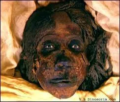  quel film cette image vous fait-elle penser ?